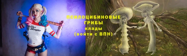 ALPHA-PVP Нея
