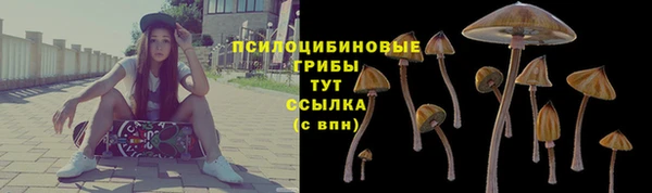 прущие крисы Абдулино