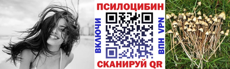 где купить наркоту  ссылка на мегу онион  Псилоцибиновые грибы GOLDEN TEACHER  Приволжский 